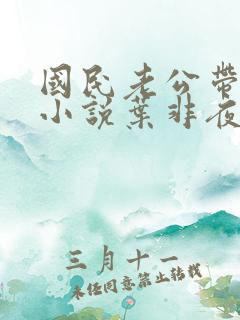 国民老公带回家小说叶非夜