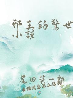 邪王的惊世宠妃小说