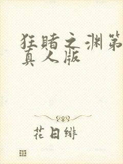 狂赌之渊第二季真人版