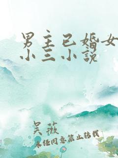 男主已婚女主是小三小说
