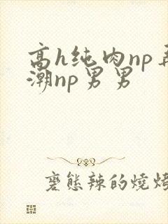 高h纯肉np弄潮np男男