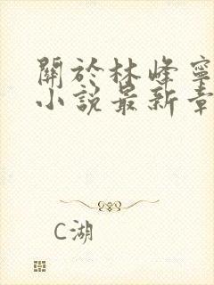 关于林峰宁欣的小说最新章节