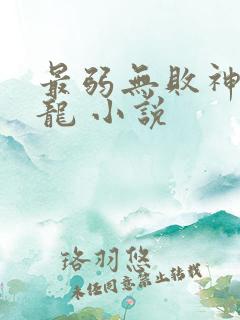 最弱无败神装机龙 小说