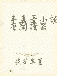 手表看小说用什么阅读器