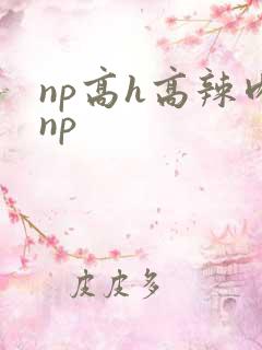 np高h高辣肉np