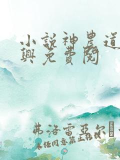 小说神农道君赵兴免费阅