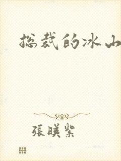 总裁的冰山老婆