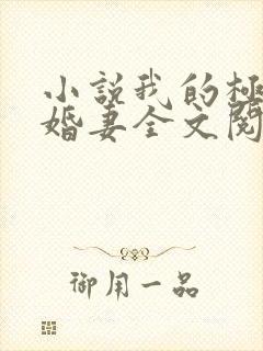 小说我的极品未婚妻全文阅读