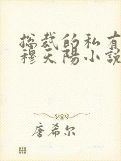 总裁的私有宝贝穆天阳小说