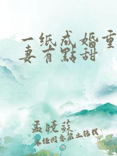 一纸成婚重生娇妻有点甜