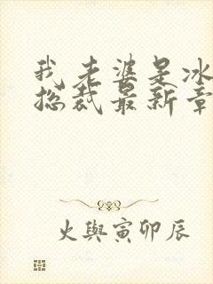 我老婆是冰山女总裁最新章节阅读