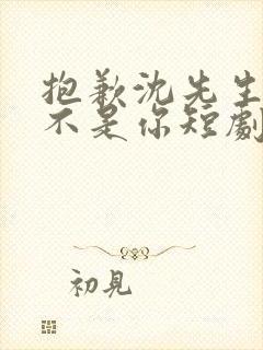 抱歉沈先生孩子不是你短剧