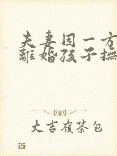 夫妻因一方出轨离婚孩子抚养权怎么判定