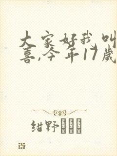 大家好我叫林小喜,今年17岁全文阅读