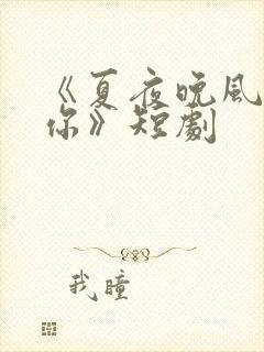 《夏夜晚风遇见你》短剧