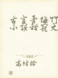 古言青梅竹马的小说甜宠文