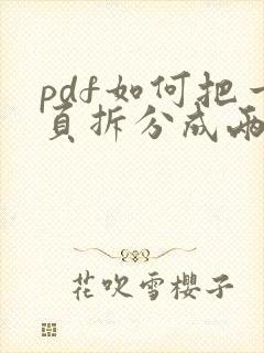 pdf如何把一页拆分成两页打印