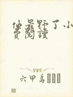 他最野了小说免费阅读