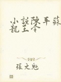 小说陈平苏雨琪龙王令