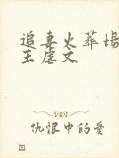 追妻火葬场双男主虐文