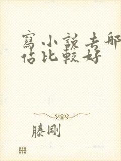 写小说去哪个网站比较好