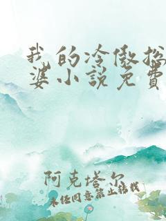 我的冷傲总裁老婆小说免费阅读