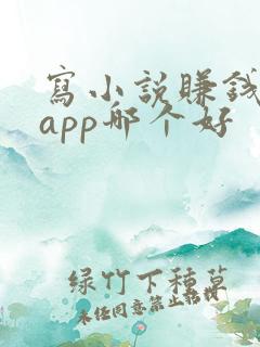 写小说赚钱软件app哪个好