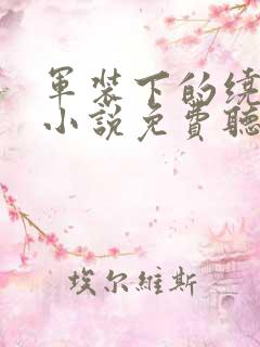 军装下的绕指柔小说免费听书