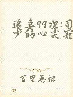 追妻99次:司少的心尖宠