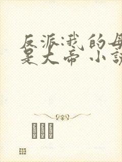 反派:我的母亲是大帝 小说