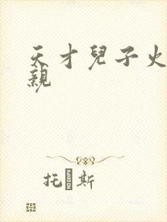 天才儿子火爆娘亲