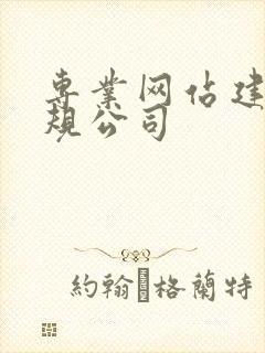 专业网站建设正规公司