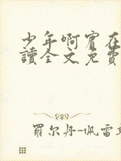 少年啊宾在线阅读全文免费阅读最新