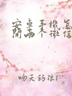 安卓手机怎么双开两个微信