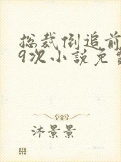 总裁倒追前妻99次小说免费阅读