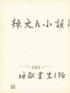 辣文h小说网站