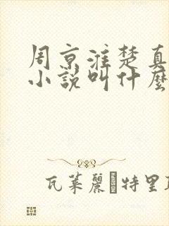 周京淮楚真原著小说叫什么名字