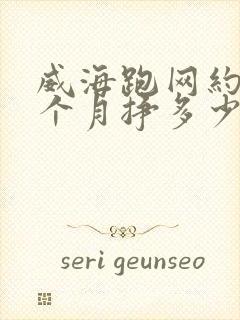 威海跑网约车一个月挣多少钱