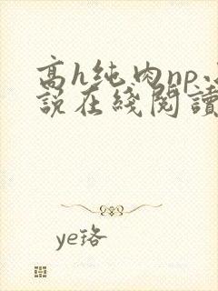 高h纯肉np小说在线阅读