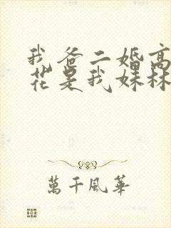 我爸二婚高冷校花是我妹林婉冰扮演者