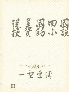 从美国回国认亲投资的小说