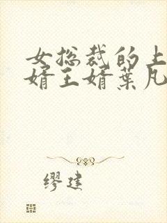 女总裁的上门女婿王婿叶凡