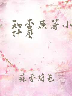 知否原著小说叫什么