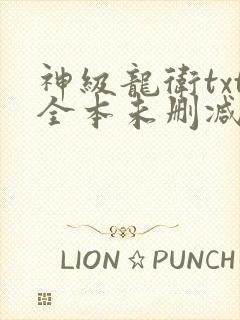 神级龙卫txt全本未删减下载