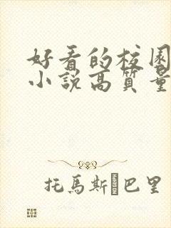 好看的校园言情小说高质量文笔好