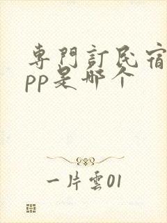 专门订民宿的app是哪个