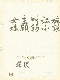 女主叫江婉男主姓顾的小说