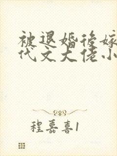 被退婚后嫁给年代文大佬小说免费