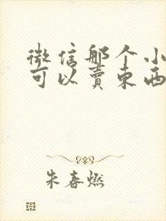 微信那个小程序可以卖东西