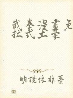 武拳漫画免费下拉式土豪